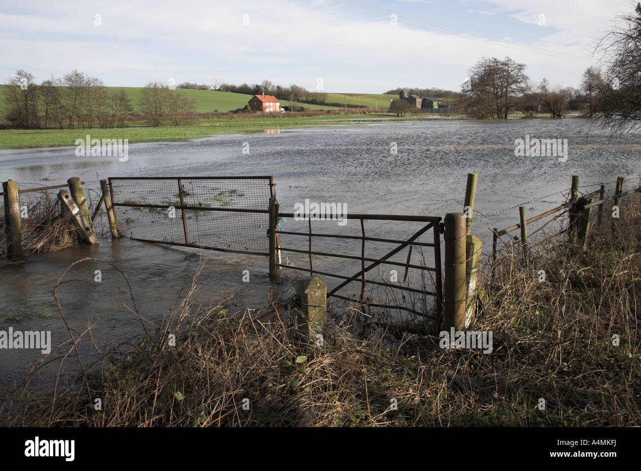 Flooding on the flood plain River Waveney, Norfolk Suffolk border near Harleston , England Stock Photo