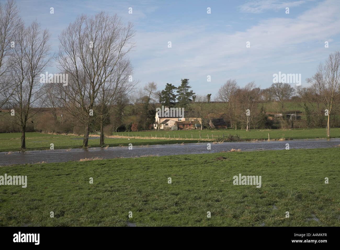 Flooding on the River Waveney, Norfolk Suffolk border near Harleston , England Stock Photo