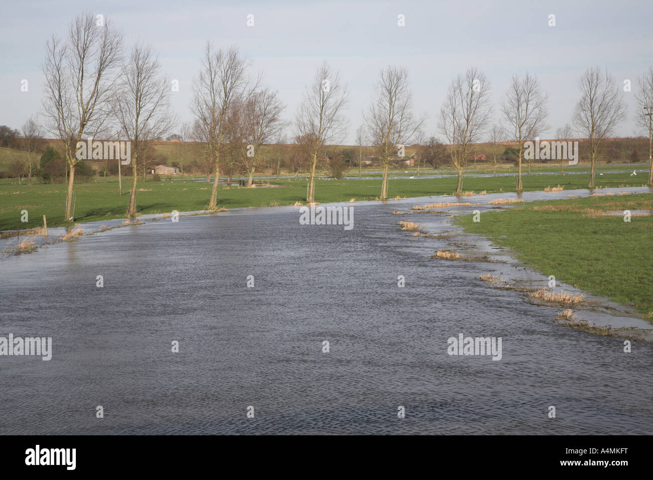 Flooding on the River Waveney, Norfolk Suffolk border near Harleston , England Stock Photo