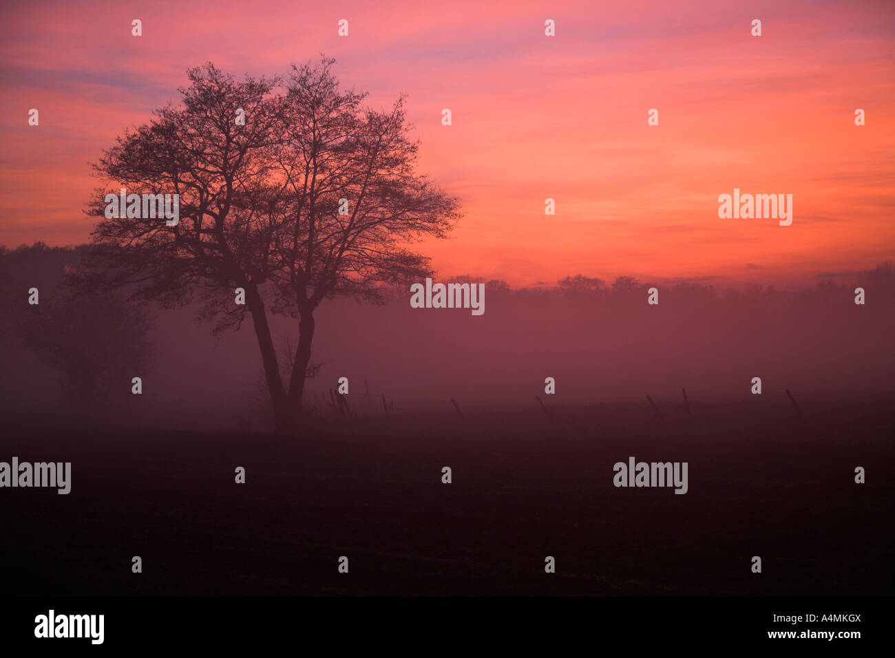 Red sky at night sheperd's delight Stock Photo - Alamy