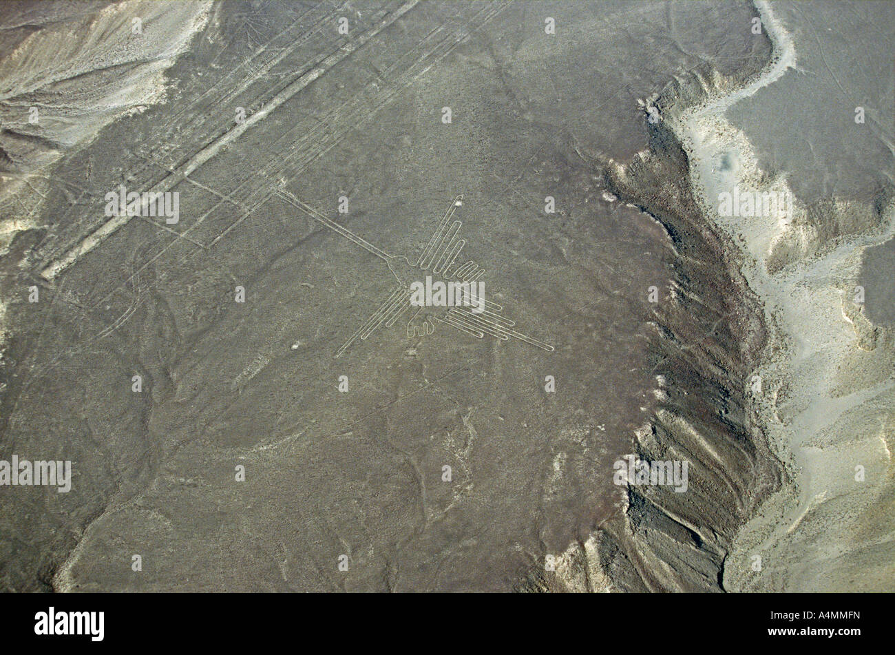 The lines of Nazca: here the hummingbird (Ica - Peru). Géoglyphes de Nazca: ici le colibri (Ica - Pérou). Stock Photo