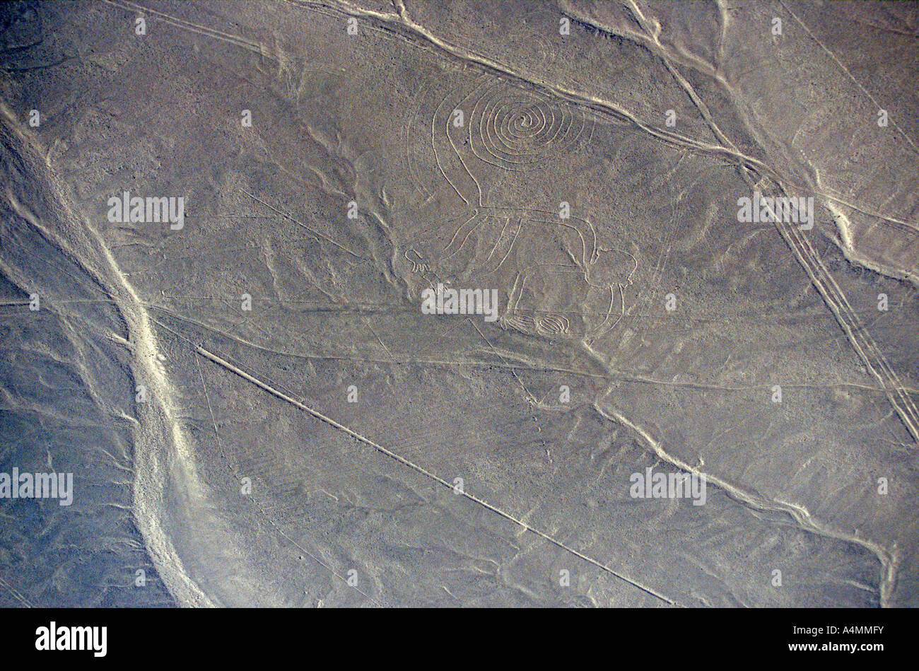 The lines of Nazca: here the monkey (Ica - Peru). Géoglyphes de Nazca, le singe (Ica - Pérou). Stock Photo
