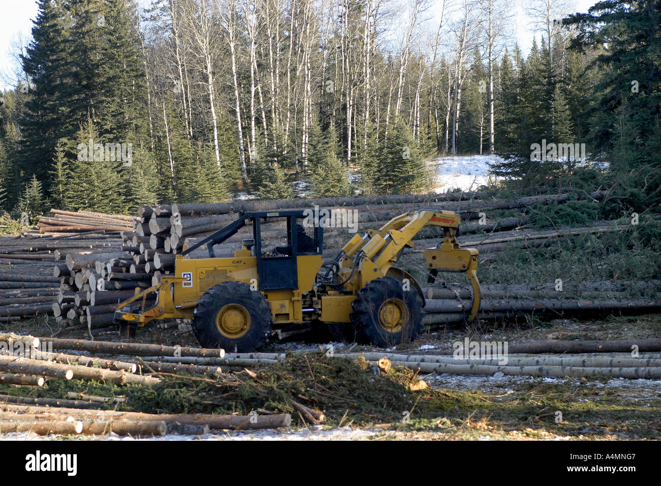 Logging industry Stock Photo Alamy