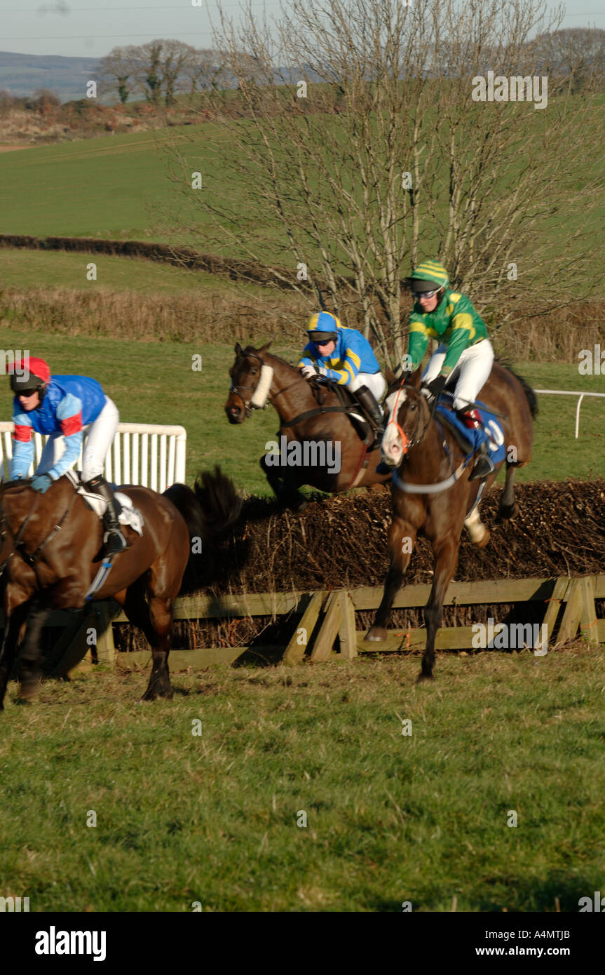 Point to point racing at Kenton Devon UK Stock Photo - Alamy