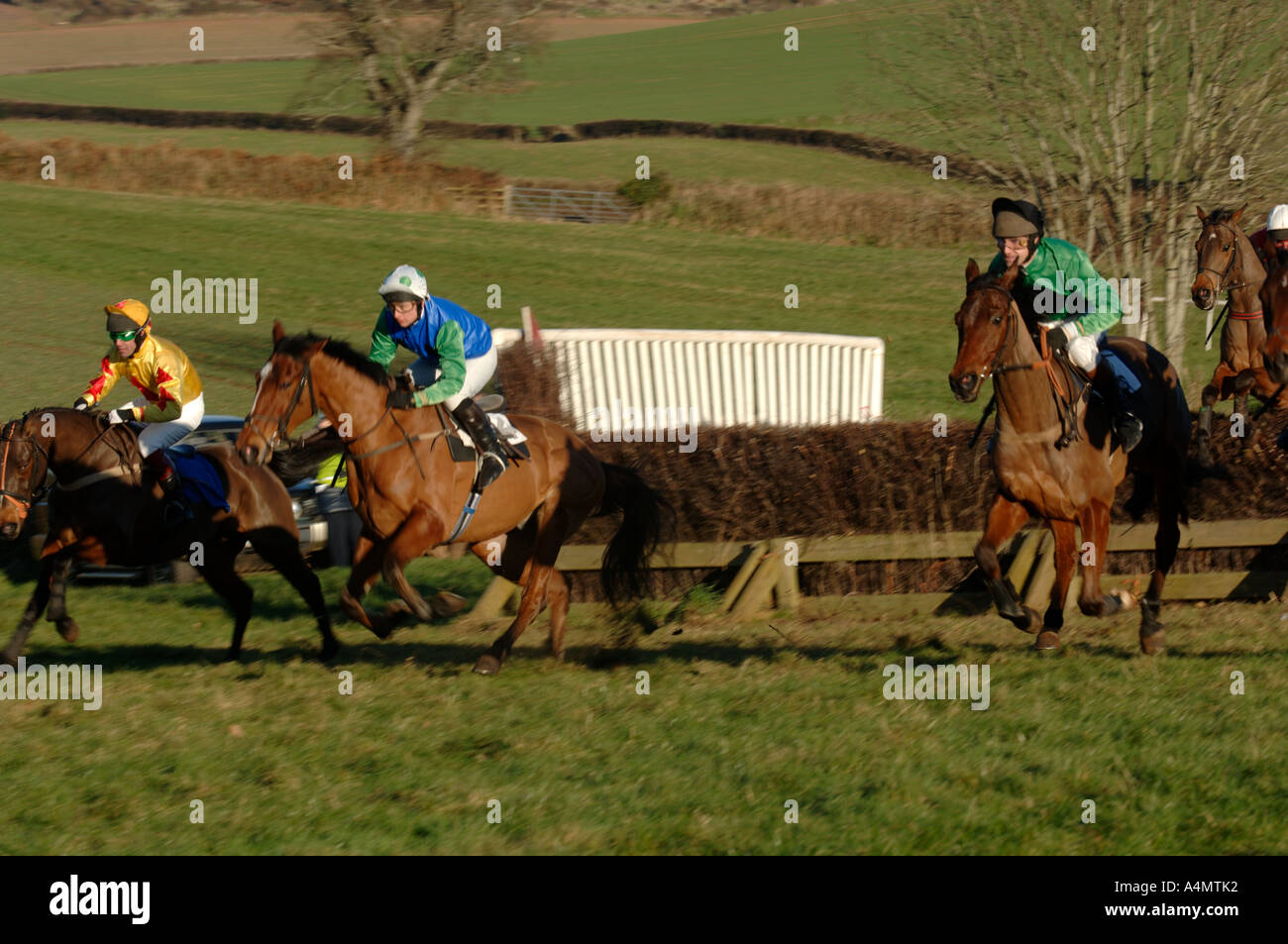 Point to point racing at Kenton Devon UK Stock Photo - Alamy
