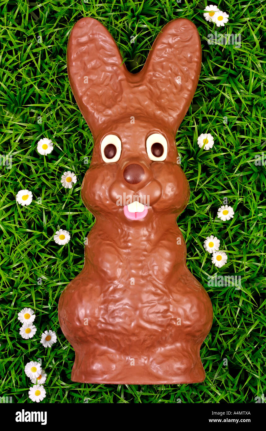 CHOCOLATE EASTER BUNNY Stock Photo