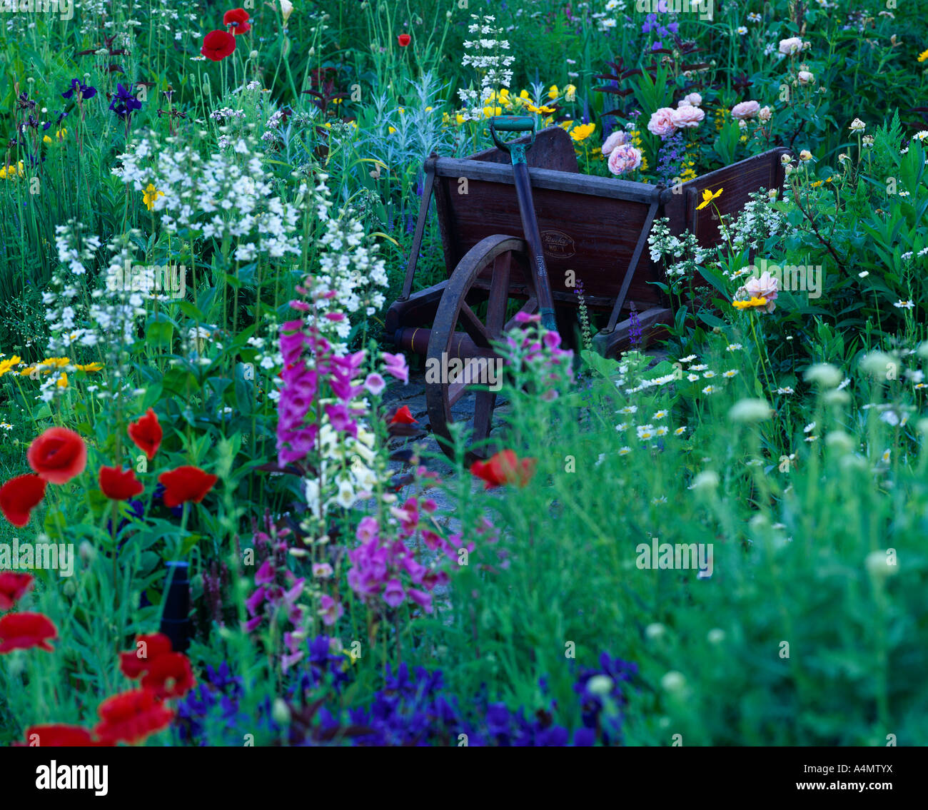 FLOWER GARDEN AND FLOWER ARRANGEMENT IN OLD WHEELBARROW / PENNSYLVANIA ...
