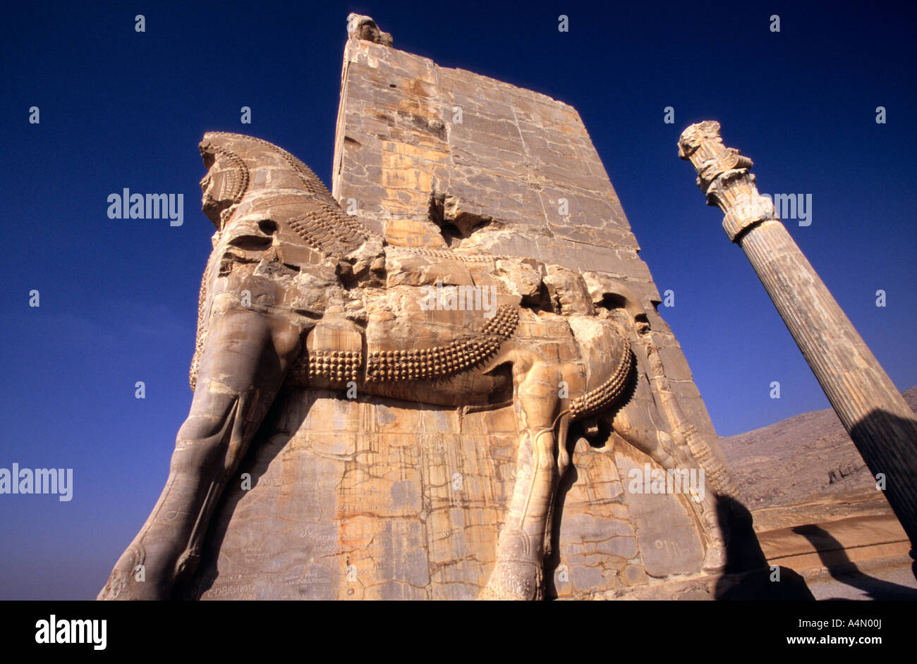 Detail of the Xerxes Gate (Gate of All Nations), Persepolis, Iran Stock