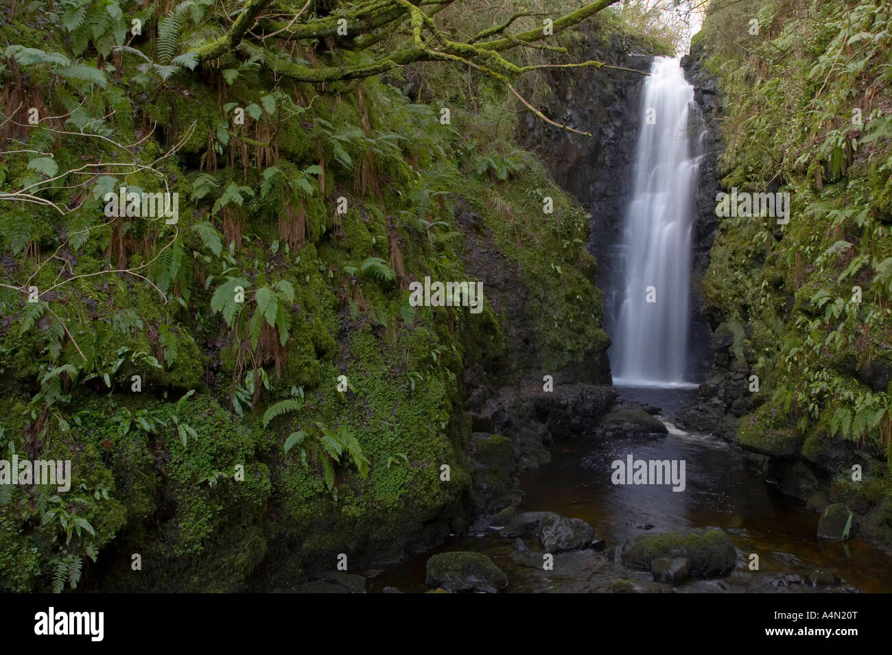 glen rock walls at Cranny Falls on the Carnlough river in Carnlough