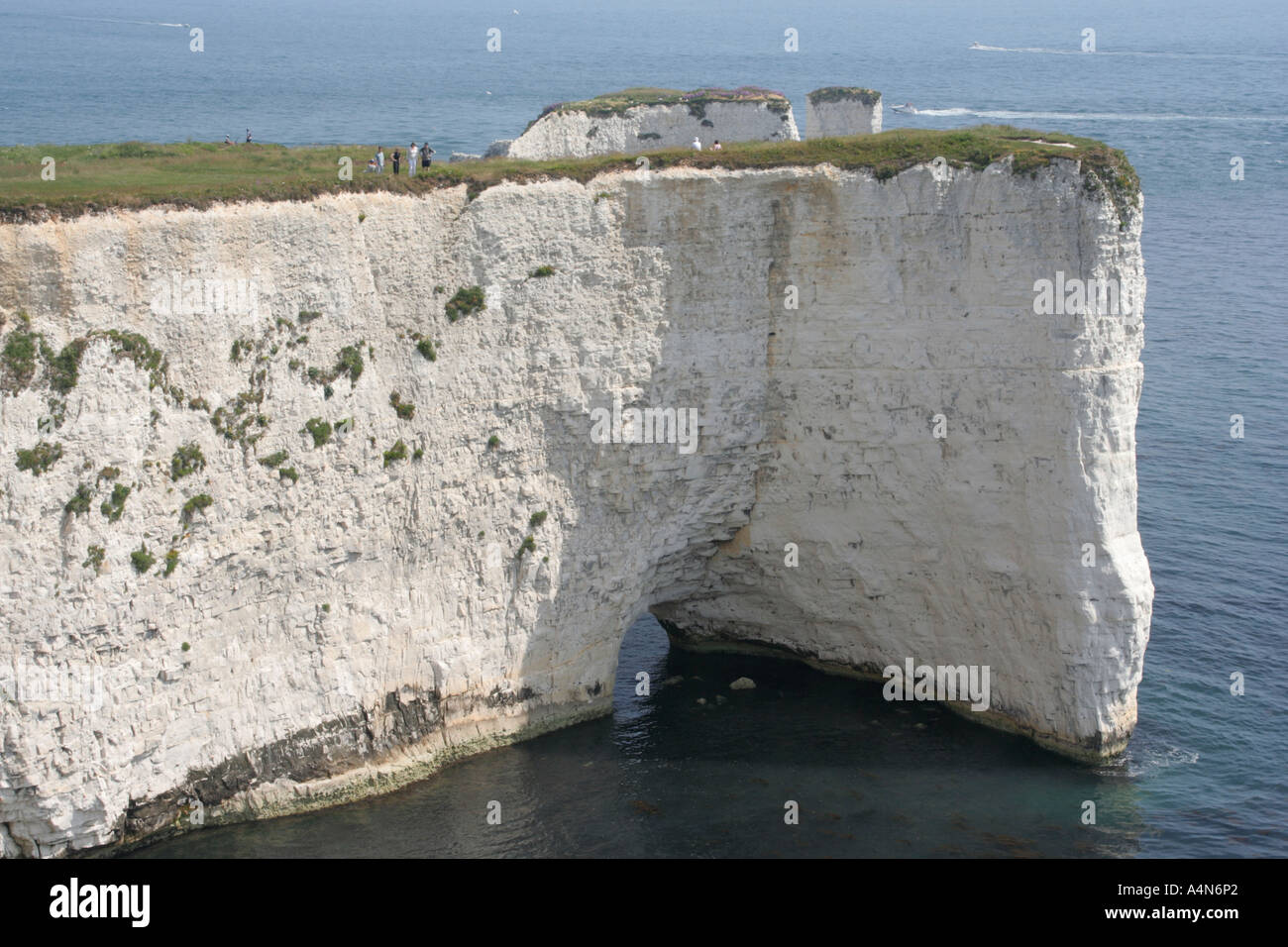 Old Harry Rocks at Handfast Point purbeck dorset heritage coastline chalk cliffs england south west coastal footpath Stock Photo