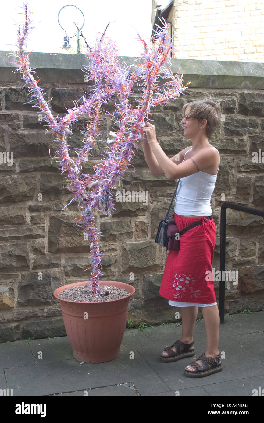Glasgow Wishing tree Stock Photo Alamy