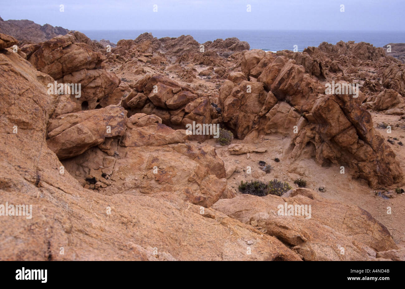 Rock formations, Pan de Azucar National Park, Chile Stock Photo