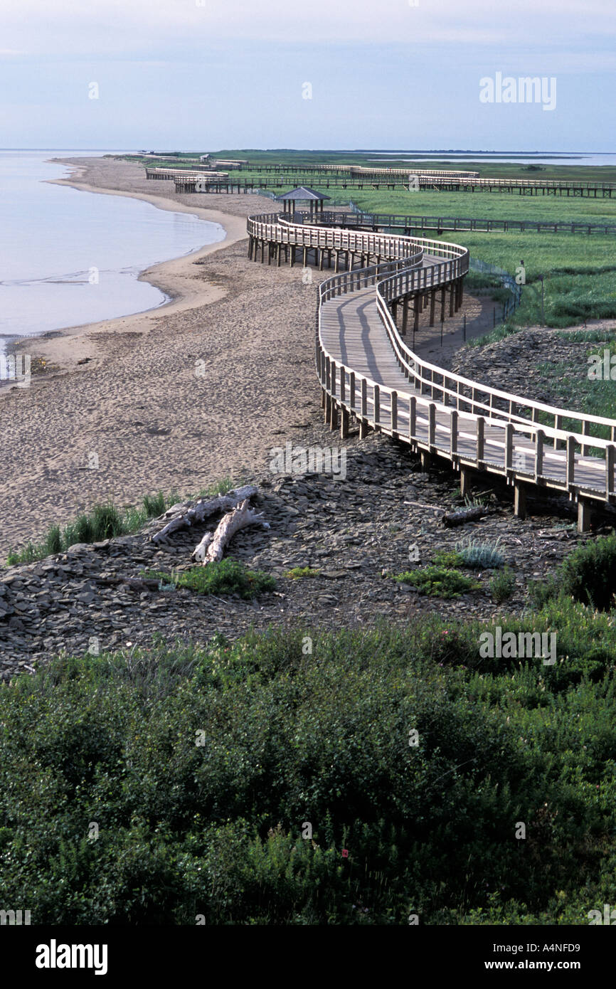 La Dune de Bouctouche Bouctouche New Brunswick Canada Offices