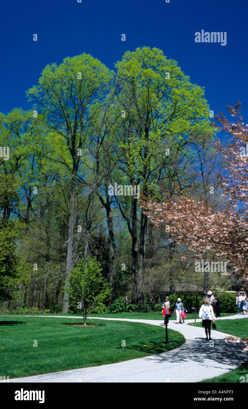 Visitors Enjoy Beautiful Trees Plants And Landscape Walking
