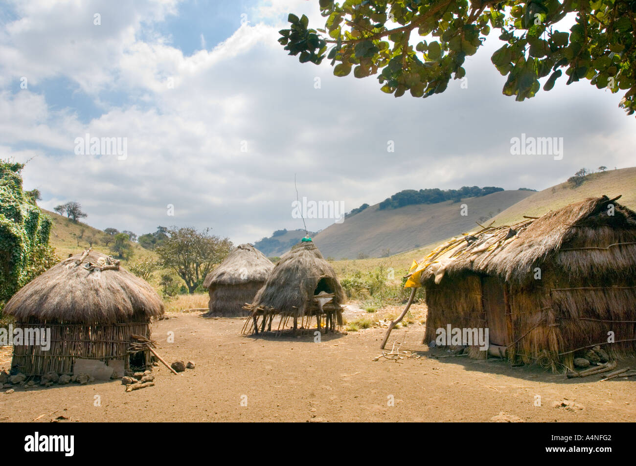the traditional huts of an original maasai kupa family in the CHYULU MOUNTAINS  Kenya East Africa Taita Hills the village Stock Photo