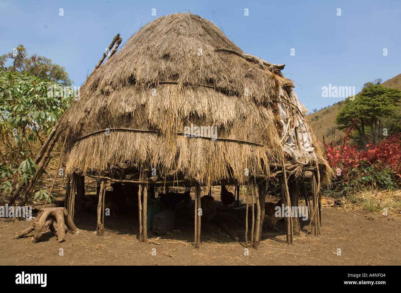 the traditional huts of an original maasai kupa family in the CHYULU MOUNTAINS  Kenya East Africa Taita Hills Stock Photo