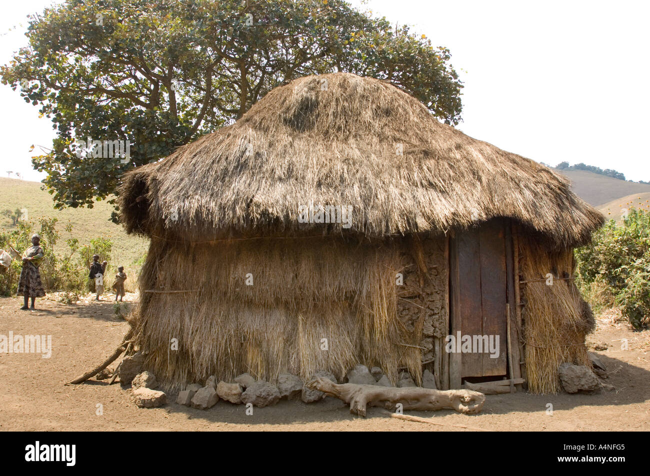 the traditional huts of an original maasai kupa family in the CHYULU MOUNTAINS  southern Kenya East Africa Taita Hills people in Stock Photo