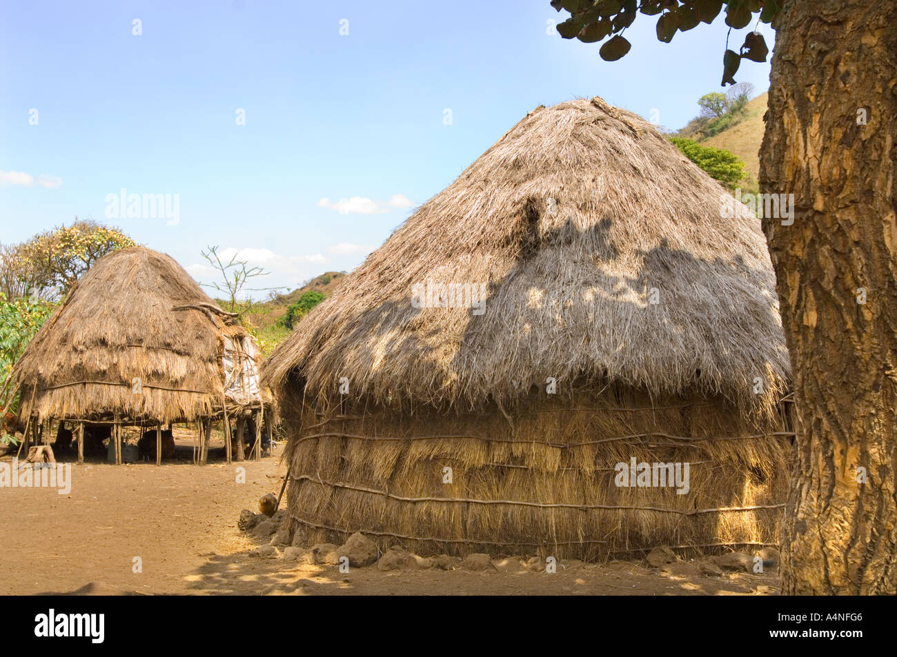 the traditional huts of an original maasai kupa family in the CHYULU MOUNTAINS  southern Kenya East Africa Taita Hills Stock Photo