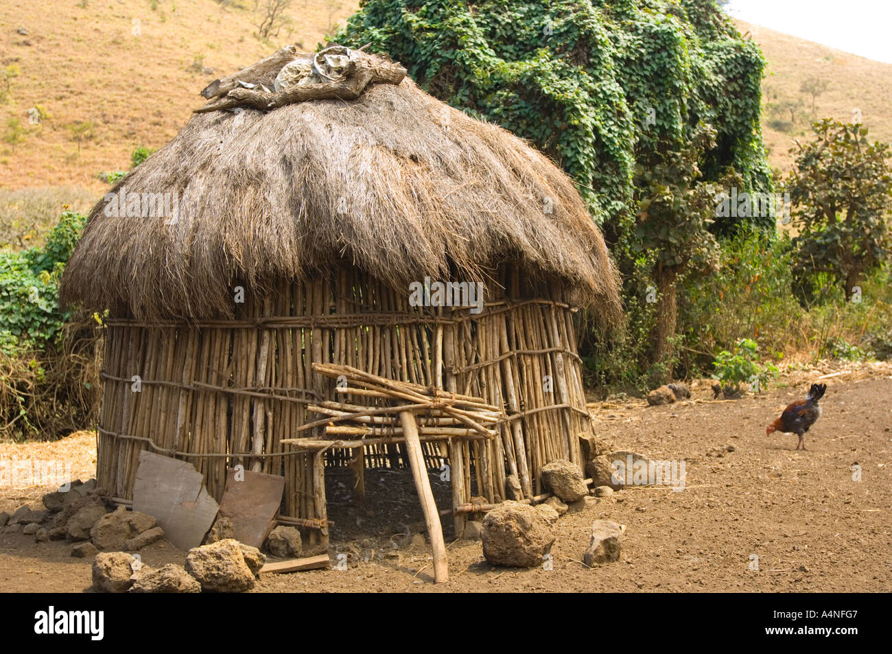 the traditional huts of an original maasai kupa family in the CHYULU MOUNTAINS  southern Kenya East Africa Taita Hills hen house Stock Photo
