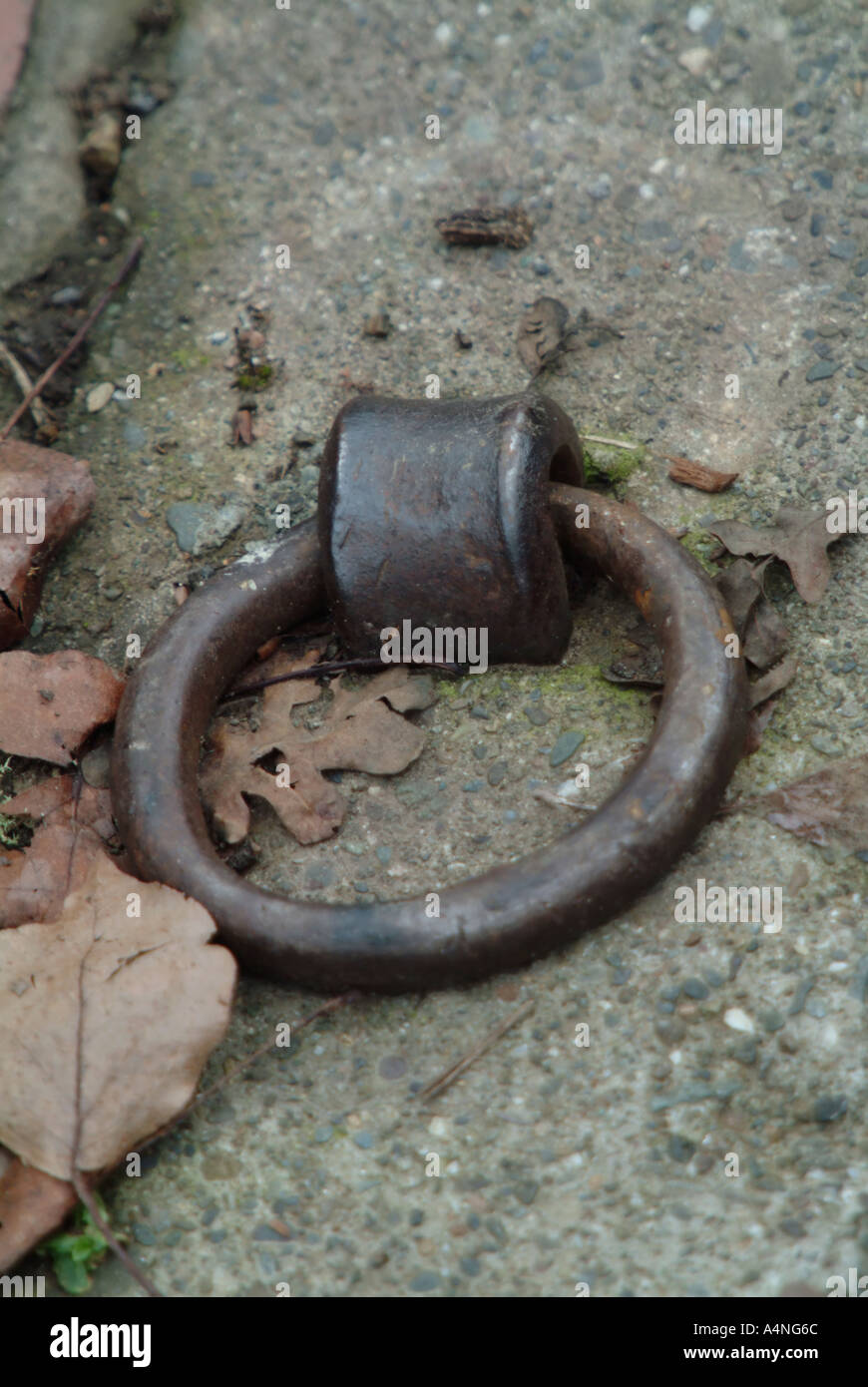 Iron rings designed to tie up horses are mounted in the curb in