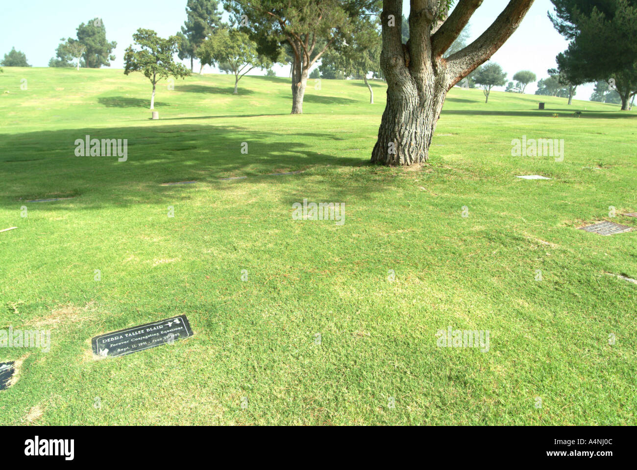 cemetery plots for sale at rose hills It Is Interesting Microblog