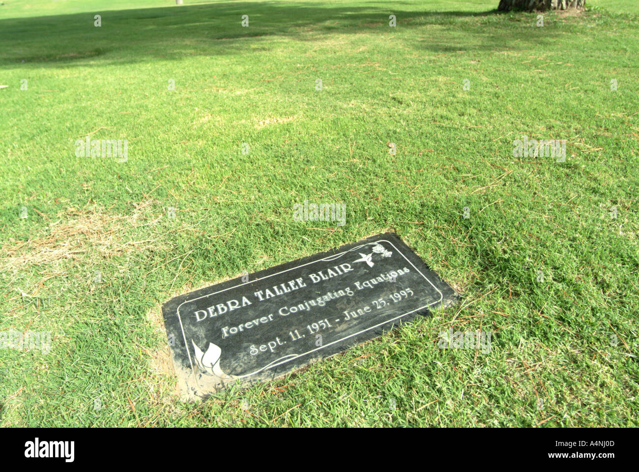 Are Dogs Allowed At Rose Hills Cemetery