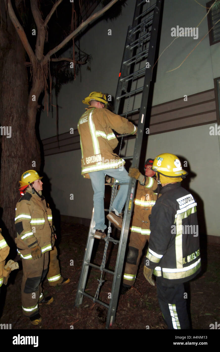 Firefighter trainees practice their skills with ladders Stock Photo Alamy