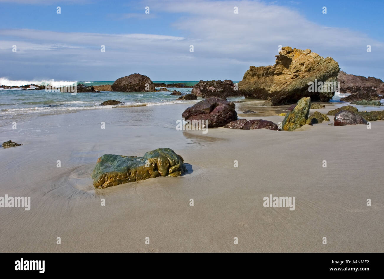 Taieri mouth hires stock photography and images Alamy