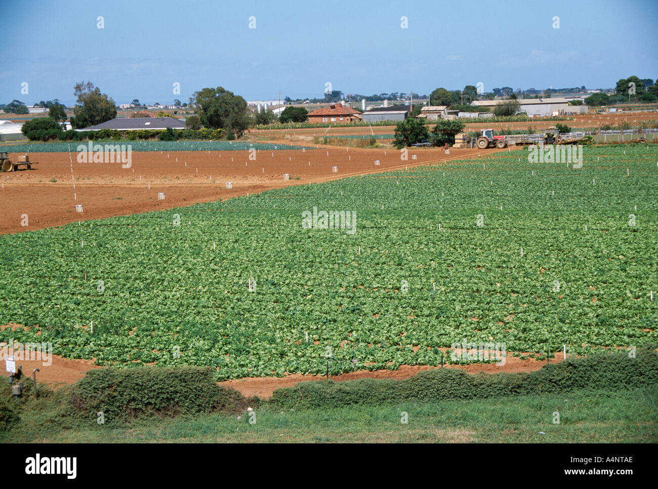 Werribee Stock Photos & Werribee Stock Images Alamy