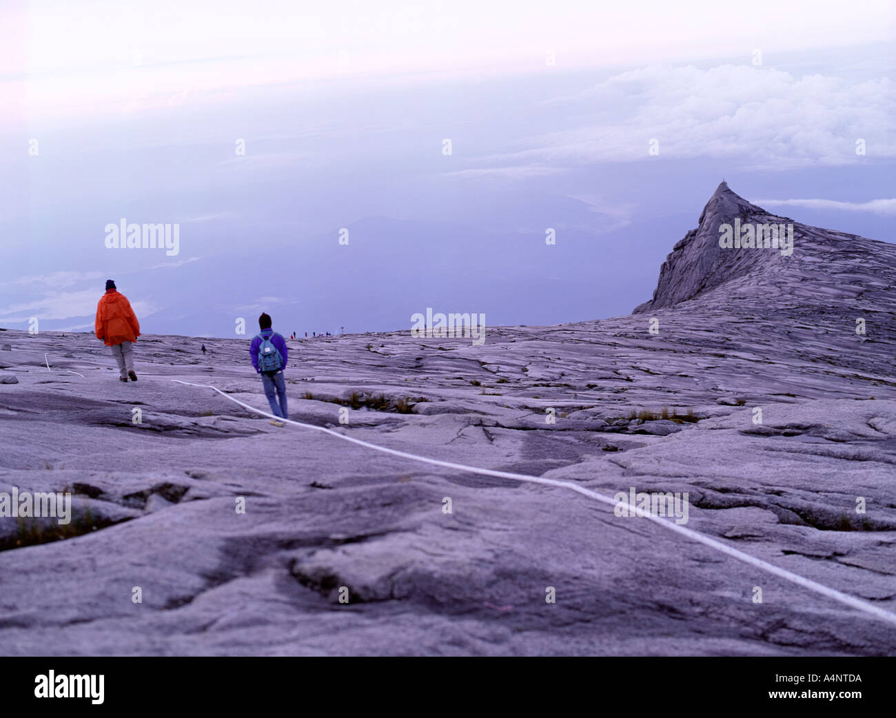 Tourist climbers follow guide ropes towards Low s Peak the 4101m summit ...
