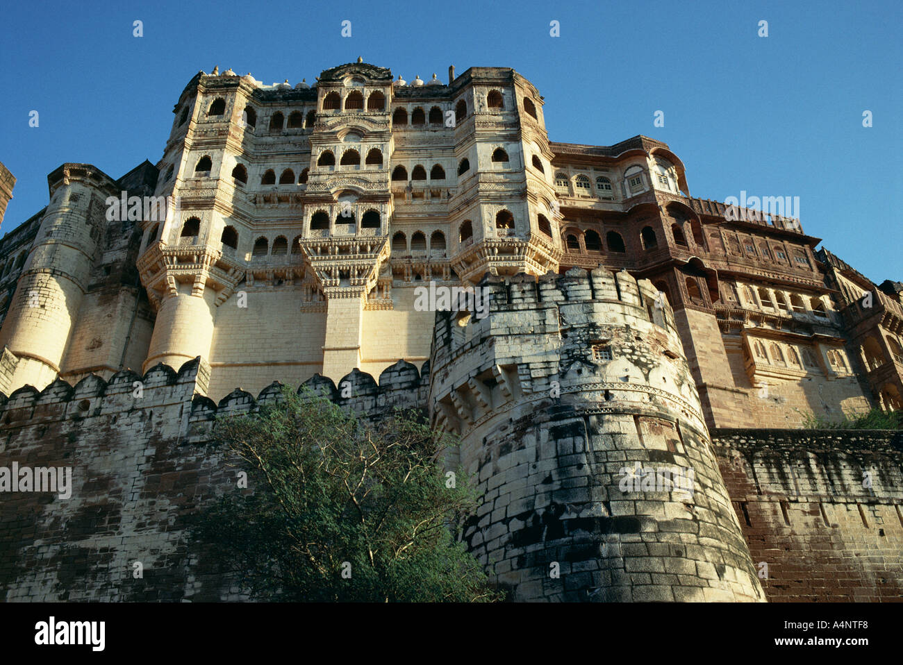 Fortress ramparts Meherangarh Jodhpur City Rajasthan state India Asia ...
