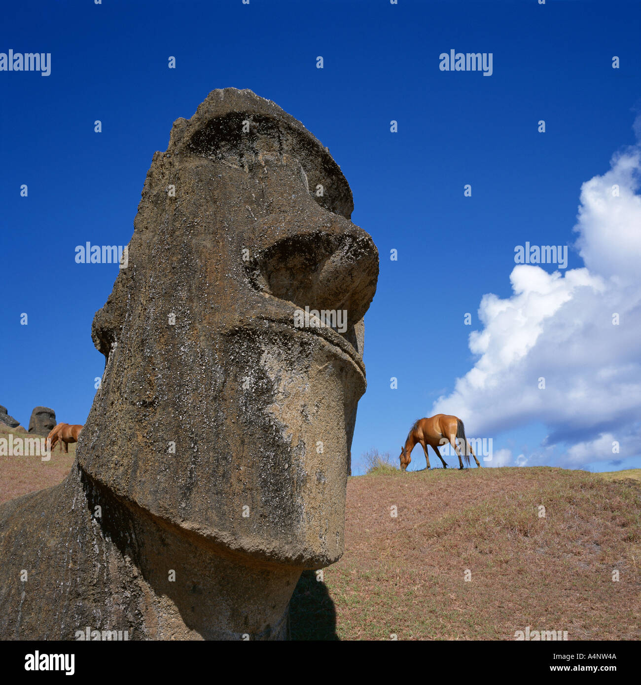 moai - Pixilart