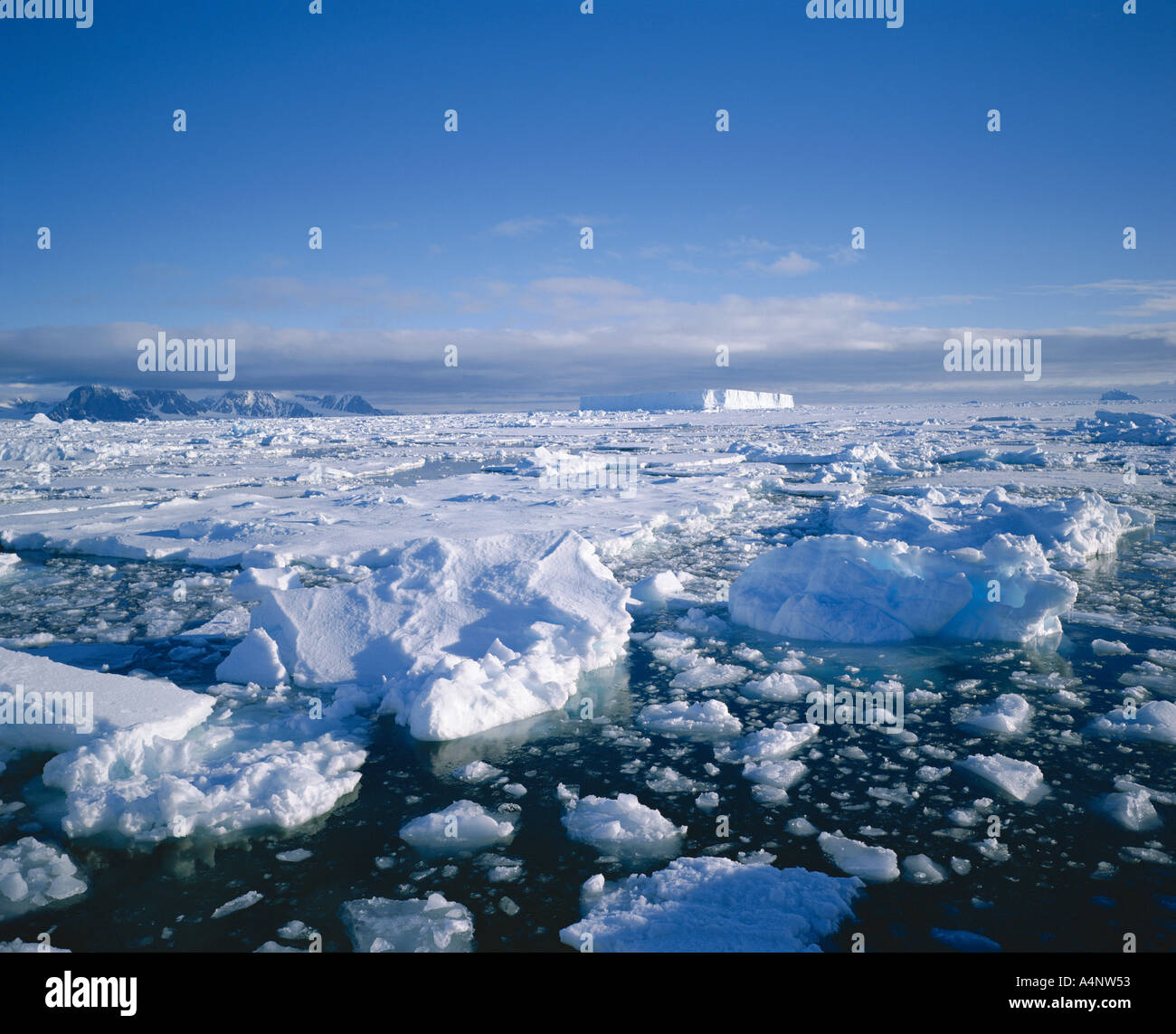 Sea ice and iceberg Antarctica Polar Regions Stock Photo - Alamy