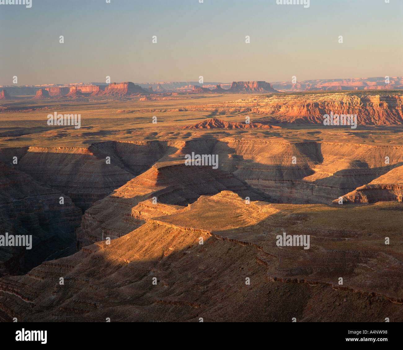 Muley Point Overlook High Resolution Stock Photography and Images - Alamy