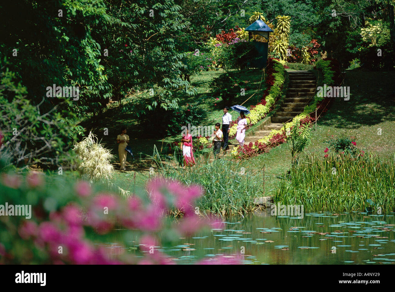 Peradeniya Botanical Gardens Kandy Sri Lanka Asia Stock Photo