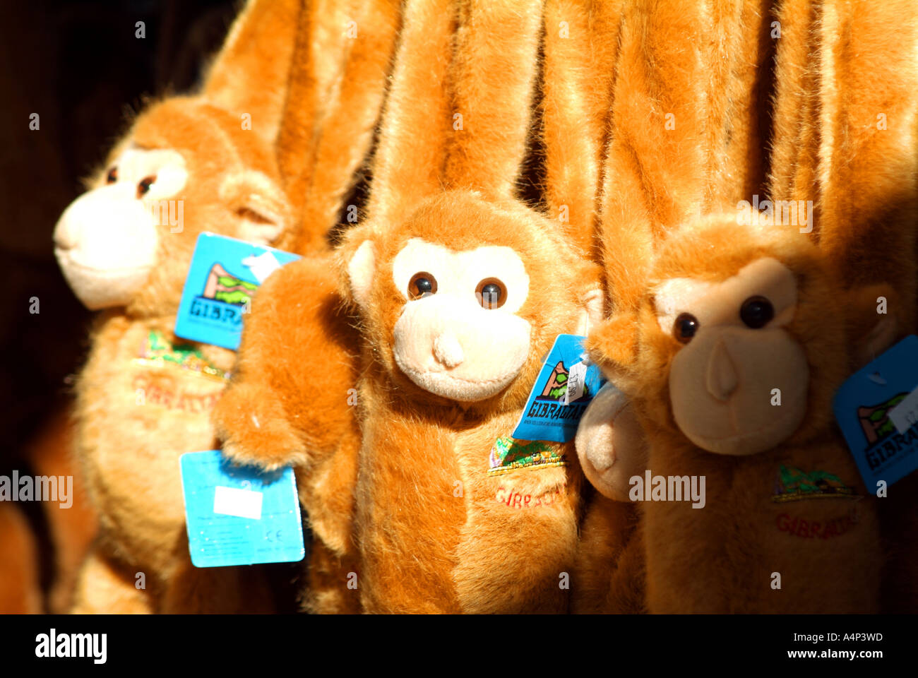 cuddly toys gibraltar apes funny humour comic monkeys Stock Photo - Alamy cuddly toys gibraltar apes funny humour comic monkeys Stock Photo - Alamy