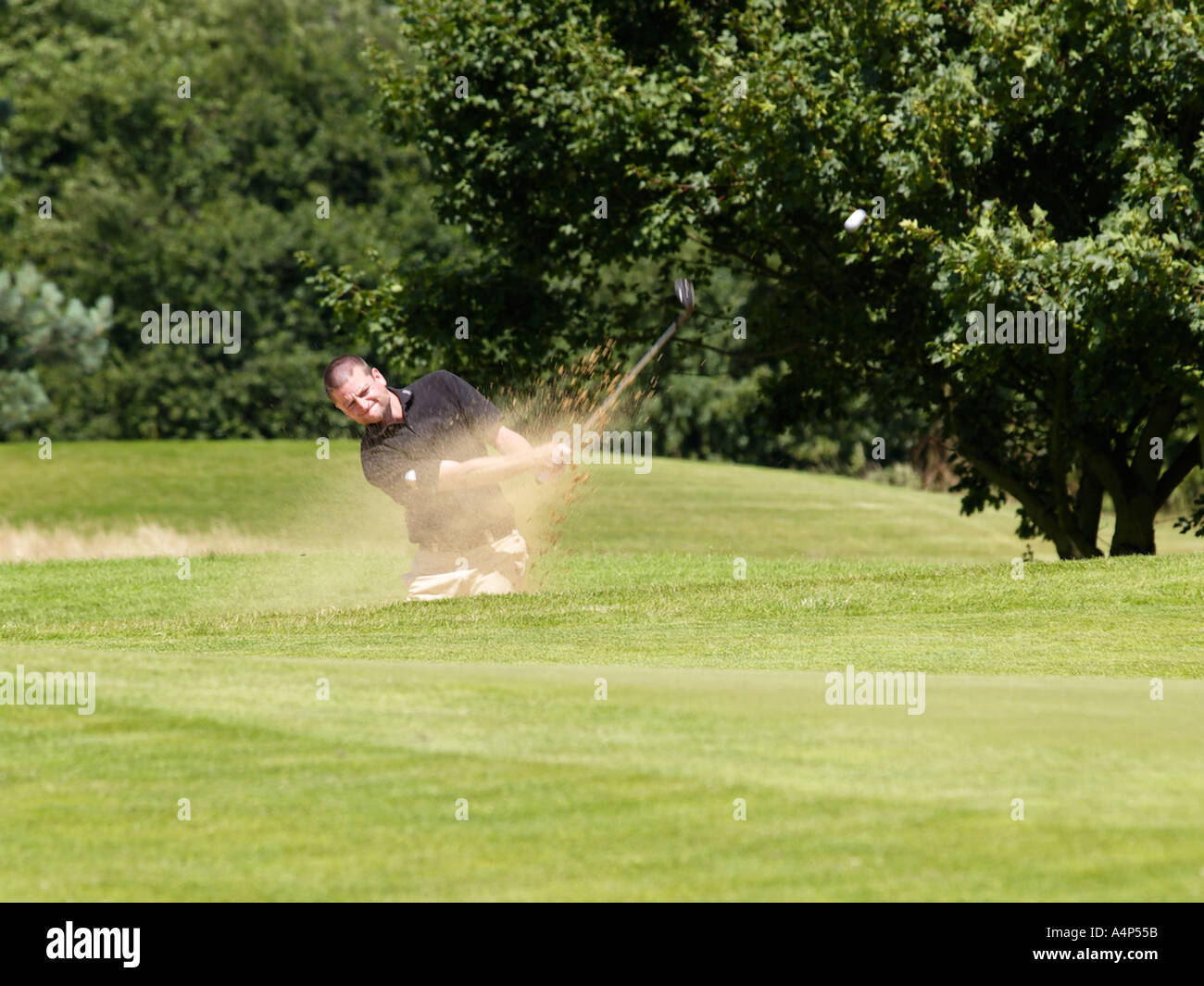 BUNKER SHOT AT THE PGA EUROPRO GOLF TOUR 2004 SPROWSTON MANOR MARRIOTT HOTELS TOUR EVENT SPROWSTON NORWICH NORFOLK EAST ANGLIA Stock Photo