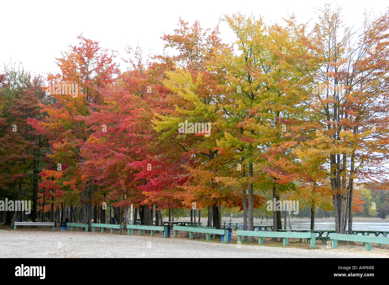 Michigan fall color splendor Stock Photo