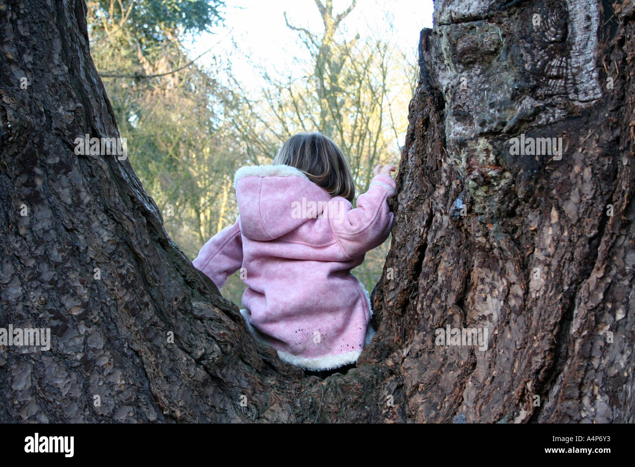 Young girl Old tree Stock Photo