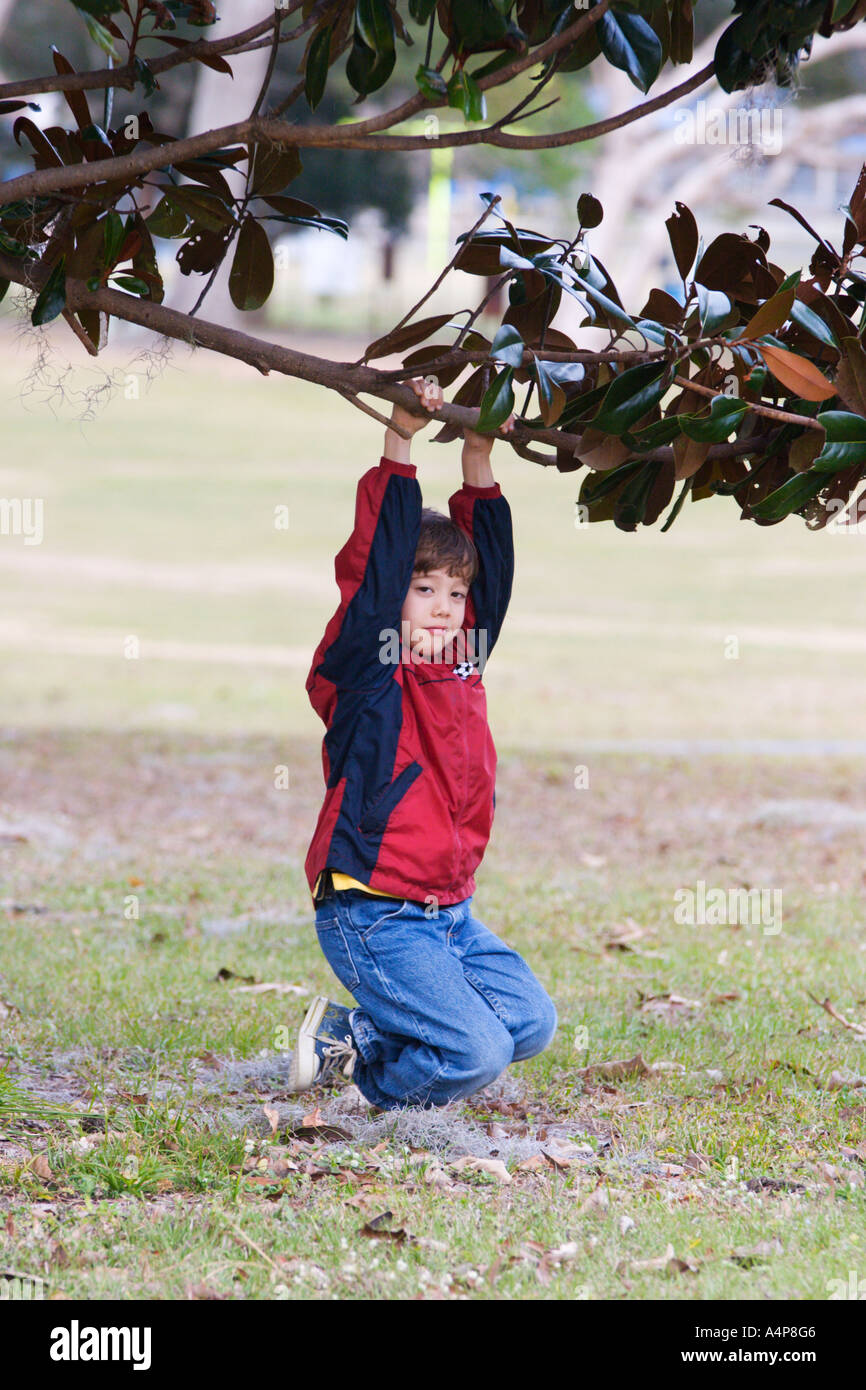 Boy hanging from branch tree hires stock photography and images Alamy