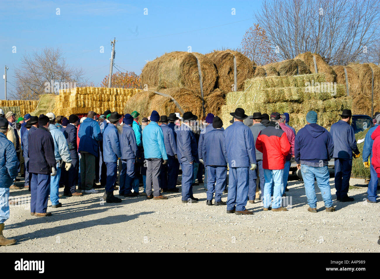 Grain Buggy High Resolution Stock Photography and Images Alamy