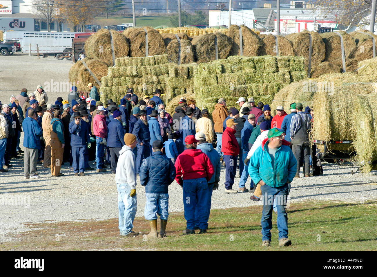 Amish Auction for farm hay and grain Shipshewana Indiana Stock Photo