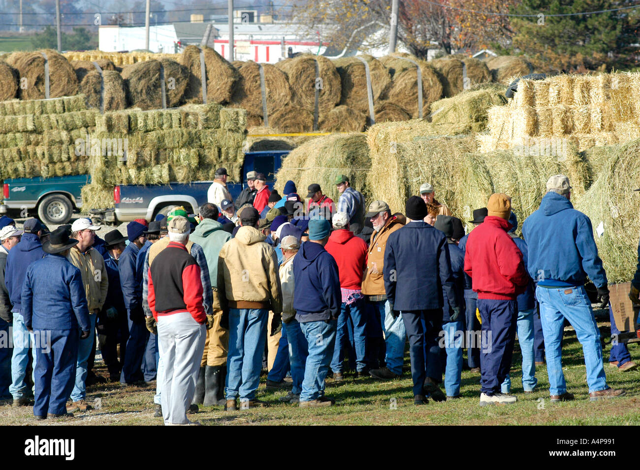 Amish Auction for farm hay and grain Shipshewana Indiana Stock Photo