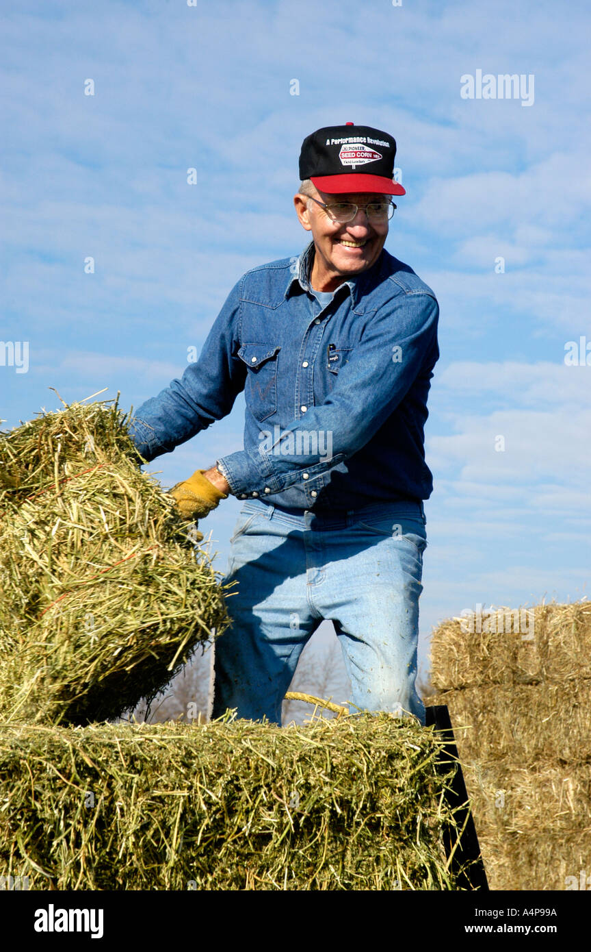 Hay toss hi-res stock photography and images - Alamy