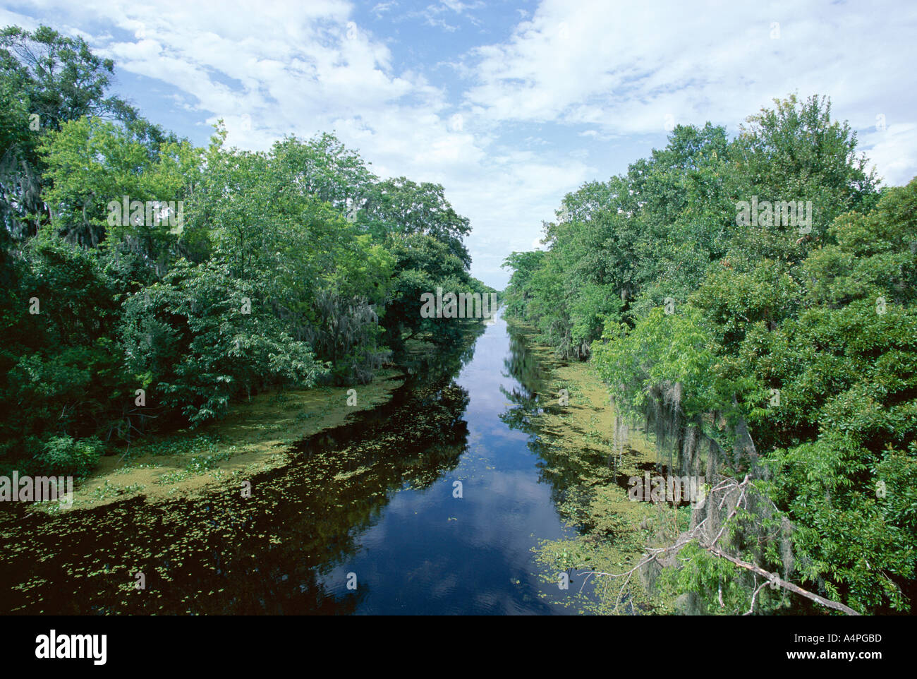 Jean lafitte park hires stock photography and images Alamy