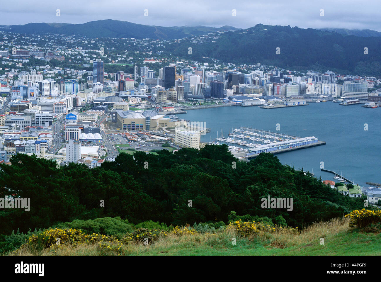Looking north west from Mount Victoria towards Lambton Harbour and city centre Wellington North Island New Zealand Pacific Stock Photo