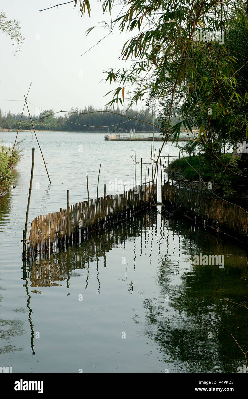 River fish trap Clearance