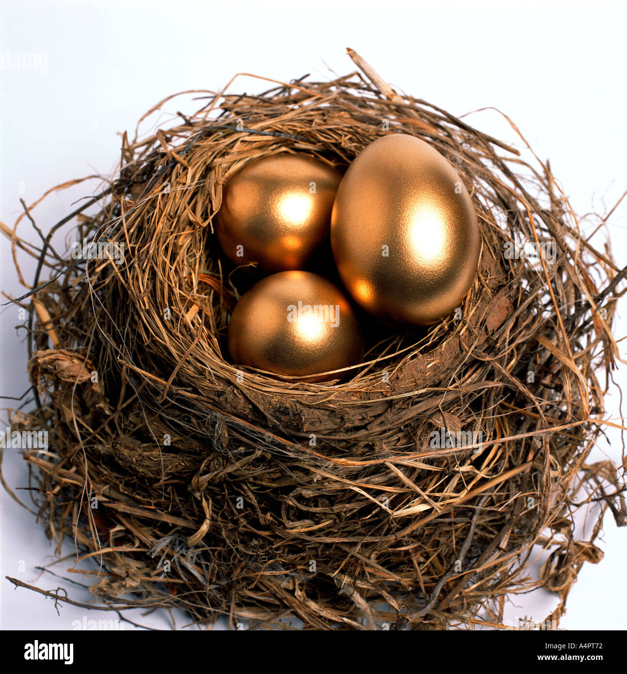Mature nest hi-res stock photography and images - Alamy