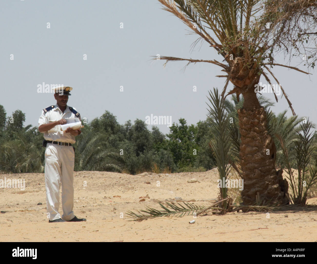 tourist police egypt phone number