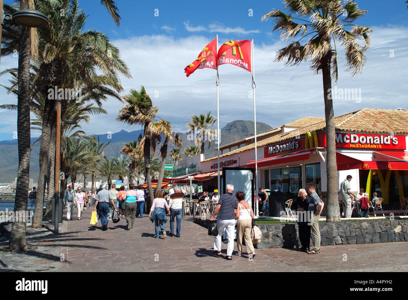 Palm tree lined promenade at Playa de Las Americas southern Tenerife Canary  Islands Spain Stock Photo - Alamy